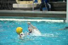 WWPolo vs CC  Wheaton College Women’s Water Polo compete in their sports inaugural match vs Connecticut College. - Photo By: KEITH NORDSTROM : Wheaton, water polo, inaugural